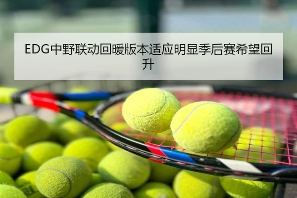 EDG中野联动回暖版本适应明显季后赛希望回升